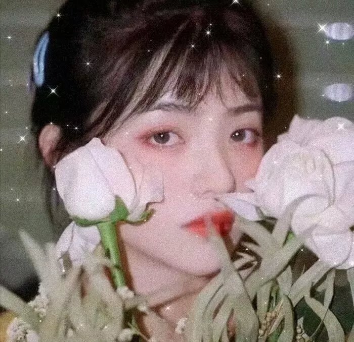 亲爱的亚当